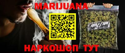 стаф Дубна