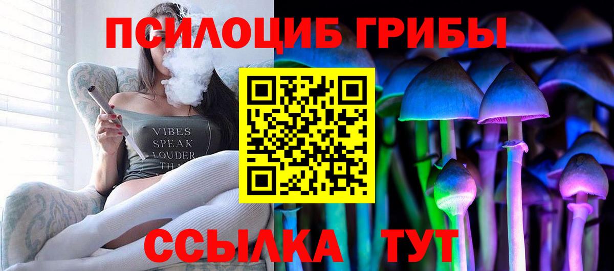 Минусинск  Галлюциногенные грибы Cubensis  Вход с VPN 