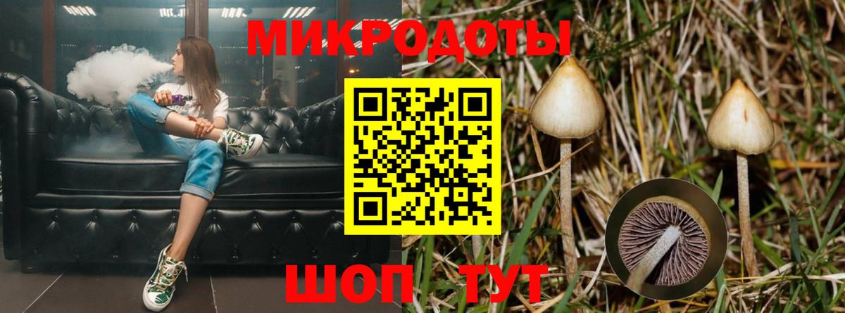 Псилоцибиновые грибы MAGIC MUSHROOMS Минусинск