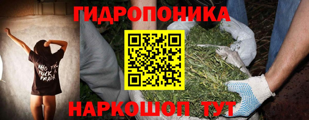 Каннабис сатива  Шишки марихуана марихуана  Минусинск  Конопля индика  Вход с VPN 